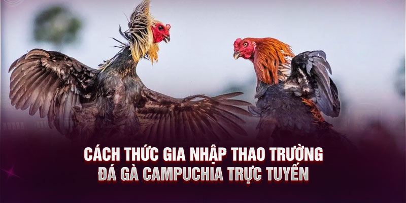 Cách thức gia nhập thao trường đá gà Campuchia trực tuyến